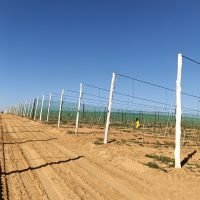 WhatsApp Image 2025-03-05 at 21.07.25