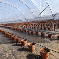 WhatsApp Image 2025-03-05 at 21.07.26 (2)