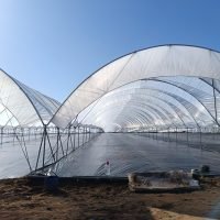 WhatsApp Image 2025-03-05 at 21.07.26 (3)