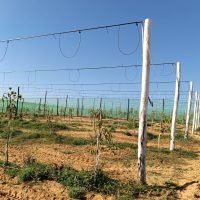 WhatsApp Image 2025-03-05 at 21.07.26