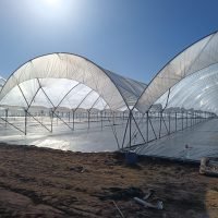 WhatsApp Image 2025-03-05 at 21.07.27 (1)