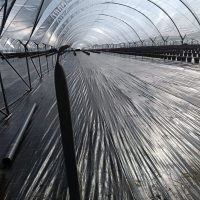 WhatsApp Image 2025-03-05 at 21.07.29