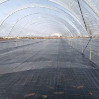 WhatsApp Image 2025-03-05 at 21.07.30