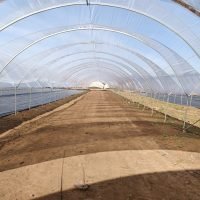 WhatsApp Image 2025-03-05 at 21.07.31 (2)