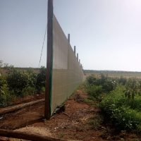 WhatsApp Image 2025-03-05 at 21.21.01 (1)