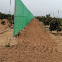 WhatsApp Image 2025-03-05 at 21.21.01 (2)