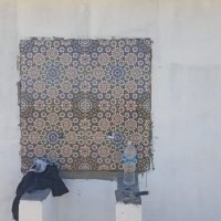 WhatsApp Image 2025-03-05 at 21.41.55