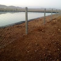 WhatsApp Image 2025-03-05 at 21.41.57