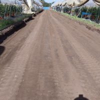 photo_2025-02-24_12-39-20