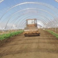 photo_2025-02-24_12-51-25